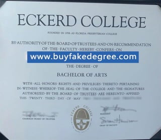 Fake Eckerd College diploma sample.pdf