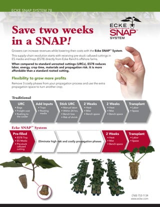 ecke snap system 78




Save two weeks
in a SNAP!
Growers can increase revenues while lowering their costs with the Ecke SNAP™ System.
This supply-chain revolution starts with receiving pre-stuck callused cuttings in
ES media and trays (ES78) directly from Ecke Ranch’s offshore farms.
When compared to standard unrooted cuttings (URCs), ES78 reduces
labor, energy, crop time, materials and propagation risk. It is more
affordable than a standard rooted cutting.

Flexibility to grow more profits
Remove 3 costly phases from your propagation process and use the extra
propagation space to turn another crop.


Traditional
    URC            Add Inputs          Stick URC           2 Weeks           2 Weeks          Transplant
  • Bags             • Trays            • Manual labor     • Heat             • Heat          • Labor
  • Freight cost     • Rooting          • Within 24 hrs.   • Mist             • Mist          • Space
  • Rushing to         media            • Bench loss       • Bench space      • Bench space
    the cooler                          • Risk of shrink



Ecke SNAP™ System
 Pre-filled                                                                  2 Weeks          Transplant
  • ES78 Tray                                                                 • Heat          • Labor
  • ES Media         Eliminate high risk and costly propagation phases        • Mist          • Space
  • Pre-stuck                                                                 • Bench space
    callused
    cutting




                                                                                               (760) 753-1134
                                                                                               www.ecke.com
 