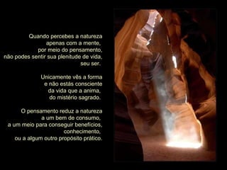 Quando percebes a natureza apenas com a mente,  por meio do pensamento, não podes sentir sua plenitude de vida, seu ser.  Unicamente vês a forma e não estás consciente da vida que a anima,  do mistério sagrado.  O pensamento reduz a natureza a um bem de consumo,  a um meio para conseguir benefícios, conhecimento,  ou a algum outro propósito prático. 