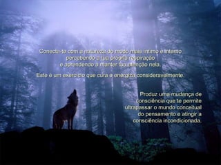 Conecta-te com a natureza do modo mais íntimo e interno percebendo a tua própria respiração e aprendendo a manter tua atenção nela. Este é um exercício que cura e energiza consideravelmente. Produz uma mudança de consciência que te permite ultrapassar o mundo conceitual do pensamento e atingir a consciência incondicionada. 
