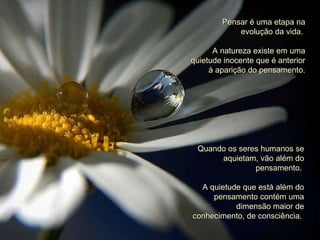 Pensar é uma etapa na evolução da vida.  A natureza existe em uma quietude inocente que é anterior à aparição do pensamento. Quando os seres humanos se aquietam, vão além do pensamento.  A quietude que está além do pensamento contém uma dimensão maior de conhecimento, de consciência.  
