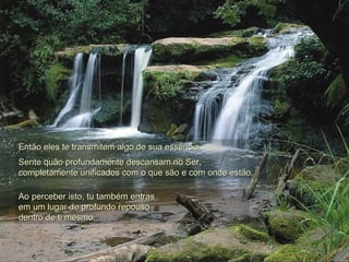 Ao perceber isto, tu também entras  em um lugar de profundo repouso dentro de ti mesmo. Então eles te transmitem algo de sua essência.  Sente quão profundamente descansam no Ser,  completamente unificados com o que são e com onde estão.  