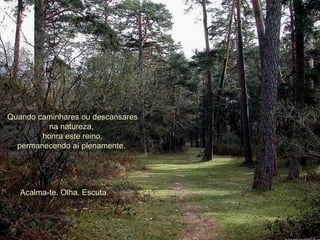 Quando caminhares ou descansares na natureza,  honra este reino, permanecendo aí plenamente.  Acalma-te. Olha. Escuta.  