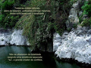 Todas as coisas naturais, além de estarem  unificadas consigo mesmas, estão unificadas com a totalidade. Não se afastaram da  totalidade   exigindo uma existência separada:  “ eu”, o  grande  criador de  conflitos . 
