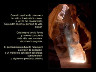 Cuando percibes la naturaleza tan sólo a través de la mente,  a través del pensamiento, no puedes sentir su plenitud de vida, su ser.  Únicamente ves la forma y no eres consciente de la vida que la anima,  del misterio sagrado.  El pensamiento reduce la naturaleza a un bien de consumo,  a un medio de conseguir beneficios, conocimiento,  o algún otro propósito práctico 