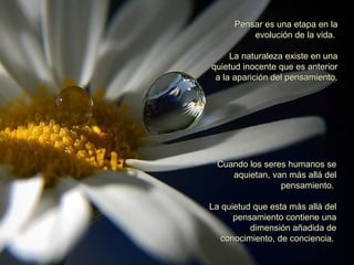 Pensar es una etapa en la evolución de la vida.  La naturaleza existe en una quietud inocente que es anterior a la aparición del pensamiento. Cuando los seres humanos se aquietan, van más allá del pensamiento.  La quietud que esta más allá del pensamiento contiene una dimensión añadida de conocimiento, de conciencia.  