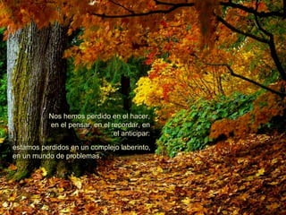 Nos hemos perdido en el hacer, en el pensar, en el recordar, en el anticipar: estamos perdidos en un complejo laberinto, en un mundo de problemas.  
