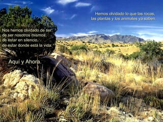 Hemos olvidado lo que las rocas,  las plantas y los animales ya saben. Nos hemos olvidado de ser:  de ser nosotros mismos,  de estar en silencio,  de estar donde está la vida:   Aquí y Ahora. 