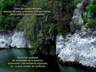 Todas las cosas naturales, además de estar unificadas consigo mismas, están unificadas con la totalidad. No se han apartado del entramado de la  totalidad   reclamando una existencia separada:  “ yo”, el  gran  creador de  conflictos . 