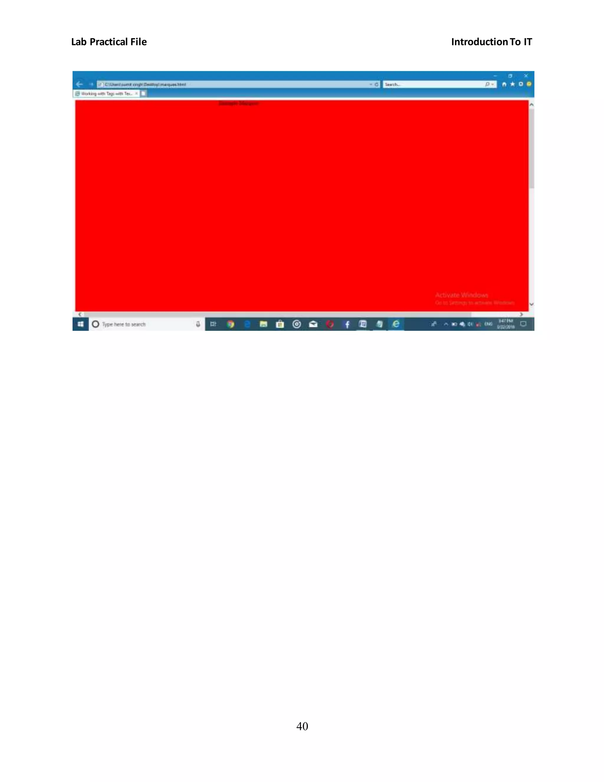 Lab Practical File IntroductionTo IT
40
 