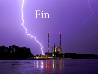 Fin
