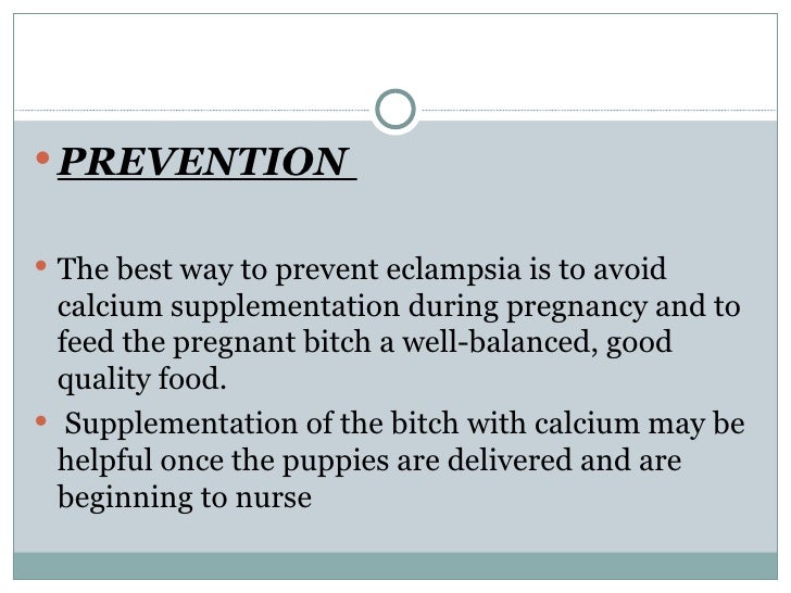 Eclampsia in dogs