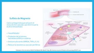 Sulfato de Magnesio
Calcio antagonista que actúa en el
músculo liso vascular, que disminuye la
[Calcio Intracelular]
• Vasodilatador
• Protector de la barrera
hematoencefálica vs edema
• Anticonvulsivante (NMDA,TNFa, IL-6)
• Reduce la resistencia vascular periférica
Eclampsia in the 21st century, Michal Fishel Bartal, MD; Baha M. Sibai, MD,American Journal of Obstetrics & Gynecology MONTH 2020
 