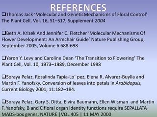 Thomas Jack ‘Molecular and GeneticMechanisms of Floral Control’ 
The Plant Cell, Vol. 16, S1–S17, Supplement 2004 
Beth A. Krizek And Jennifer C. Fletcher ‘Molecular Mechanisms Of 
Flower Development: An Armchair Guide’ Nature Publishing Group, 
September 2005, Volume 6 688-698 
Yaron Y. Levy and Caroline Dean ‘The Transition to Flowering’ The 
Plant Cell, Vol. 10, 1973–1989, December 1998 
Soraya Pelaz, Rosalinda Tapia-Lo´ pez, Elena R. Alvarez-Buylla and 
Martin F. Yanofsky, Conversion of leaves into petals in Arabidopsis, 
Current Biology 2001, 11:182–184. 
Soraya Pelaz, Gary S. Ditta, Elvira Baumann, Ellen Wisman and Martin 
F. Yanofsky, B and C floral organ identity functions require SEPALLATA 
MADS-box genes, NATURE |VOL 405 | 11 MAY 2000 
 