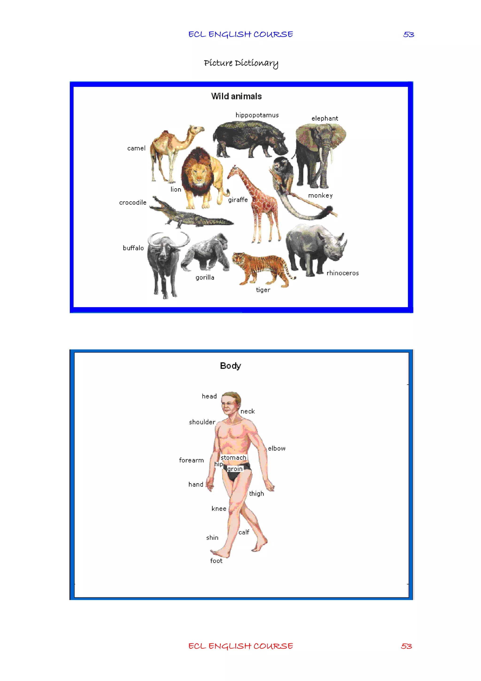 ECL ENGLISH COURSE
ECL ENGLISH COURSE 53
53
Picture Dictionary
 