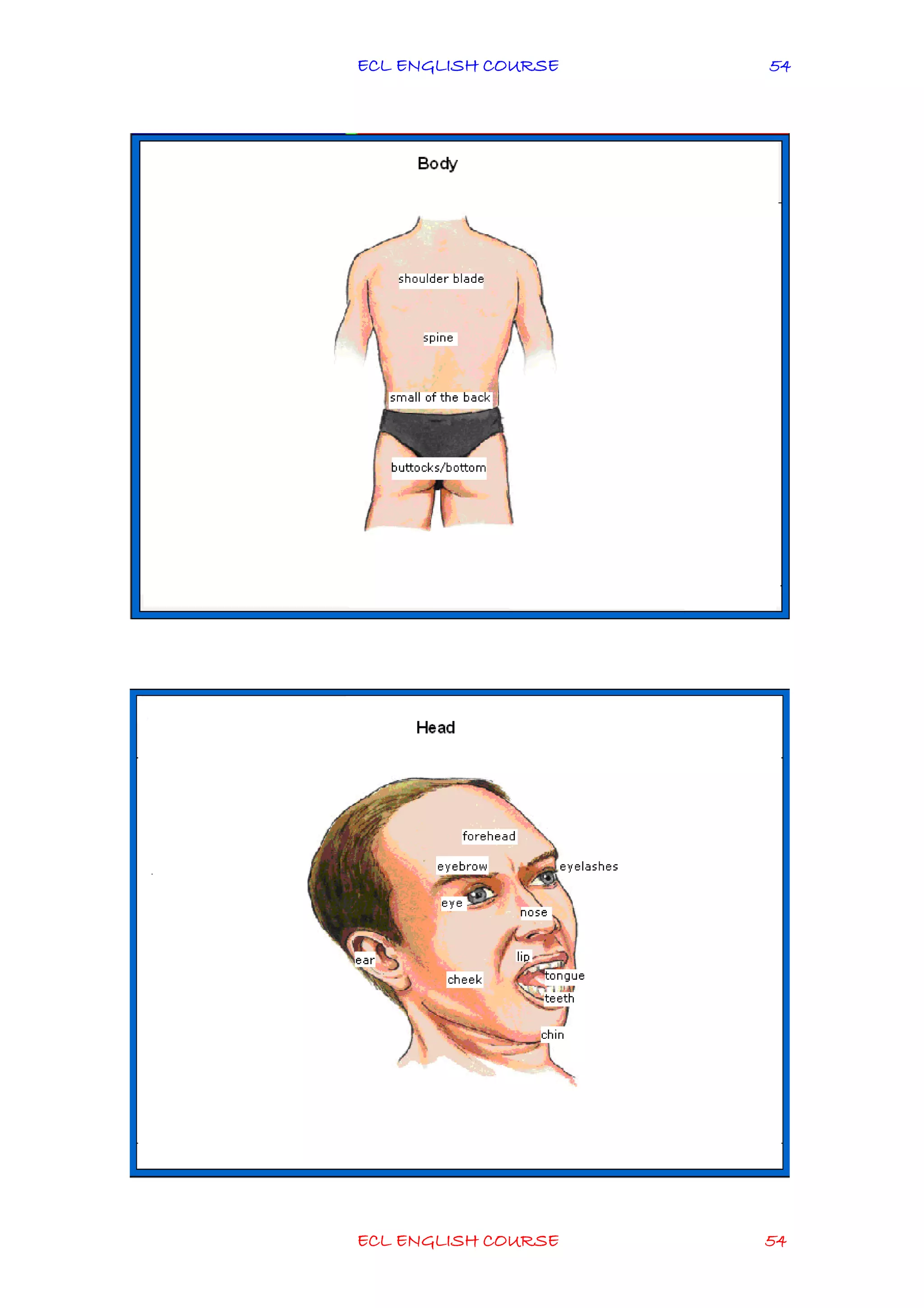 ECL ENGLISH COURSE
ECL ENGLISH COURSE 54
54
 