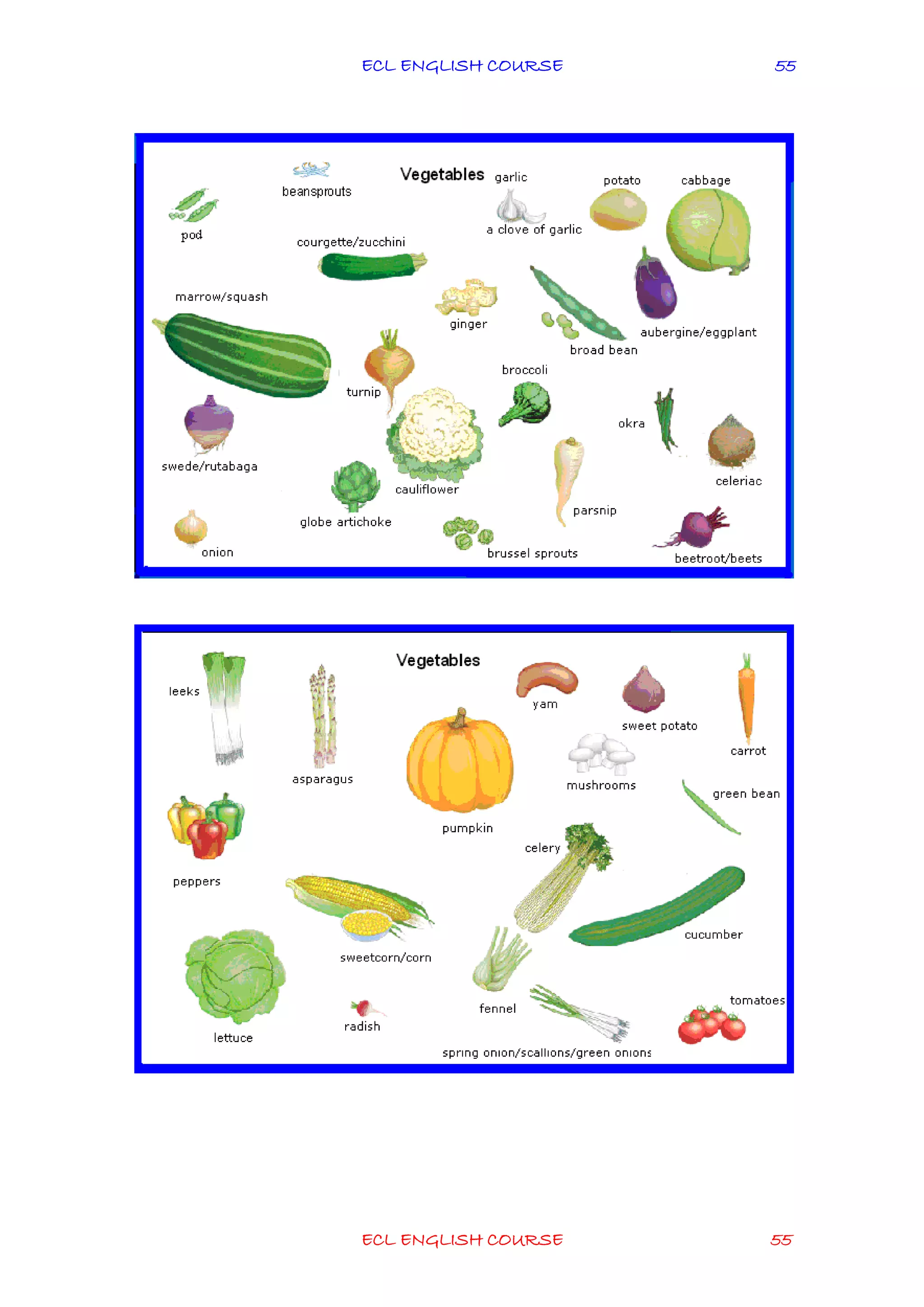 ECL ENGLISH COURSE
ECL ENGLISH COURSE 55
55
 
