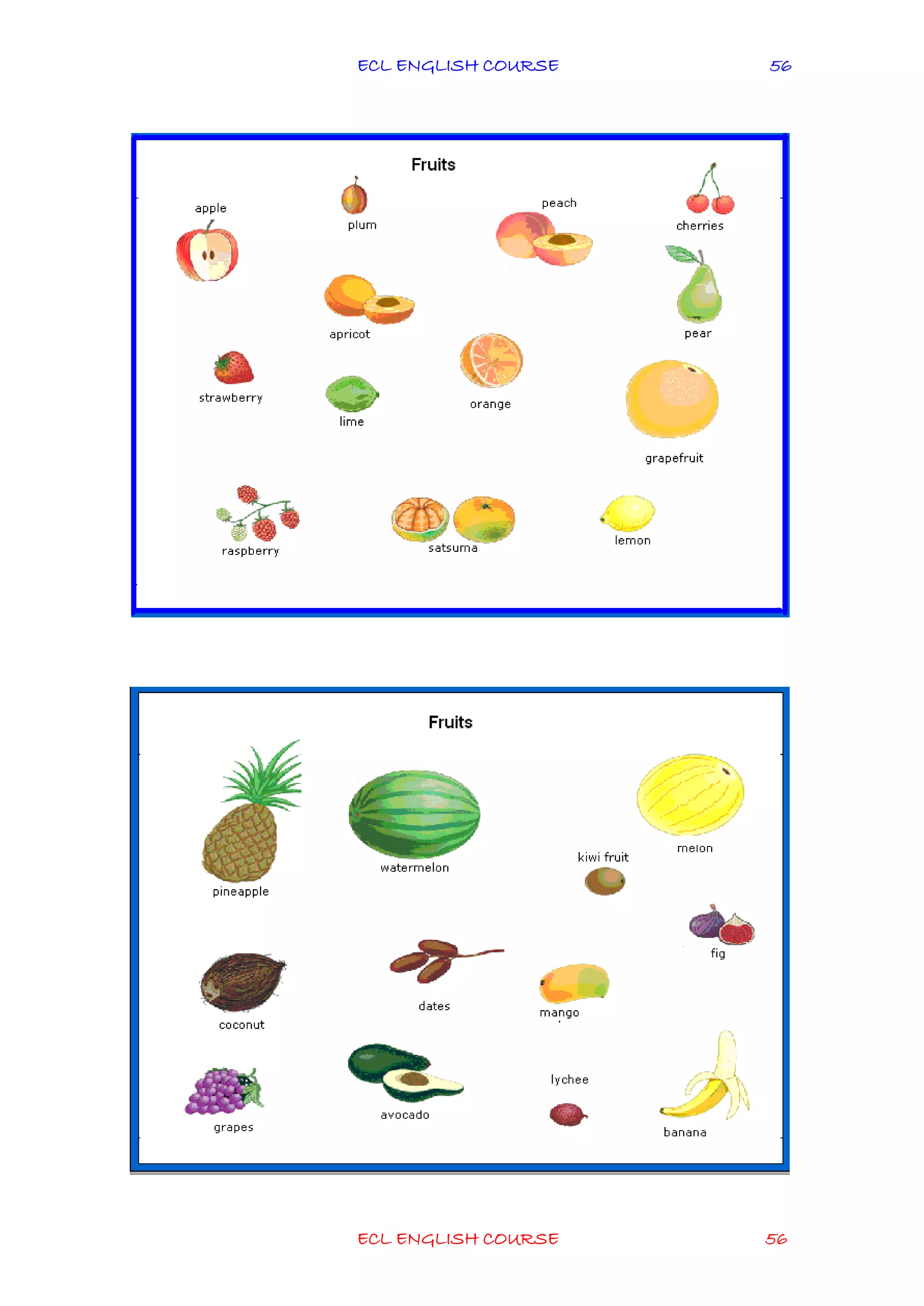 ECL ENGLISH COURSE
ECL ENGLISH COURSE 56
56
 