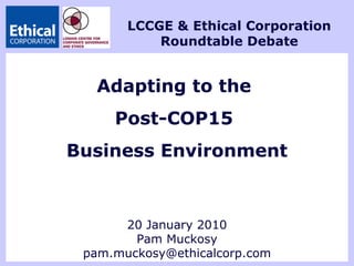 Adapting to the  Post-COP15  Business Environment 20 January 2010 Pam Muckosy [email_address] LCCGE & Ethical Corporation Roundtable Debate 