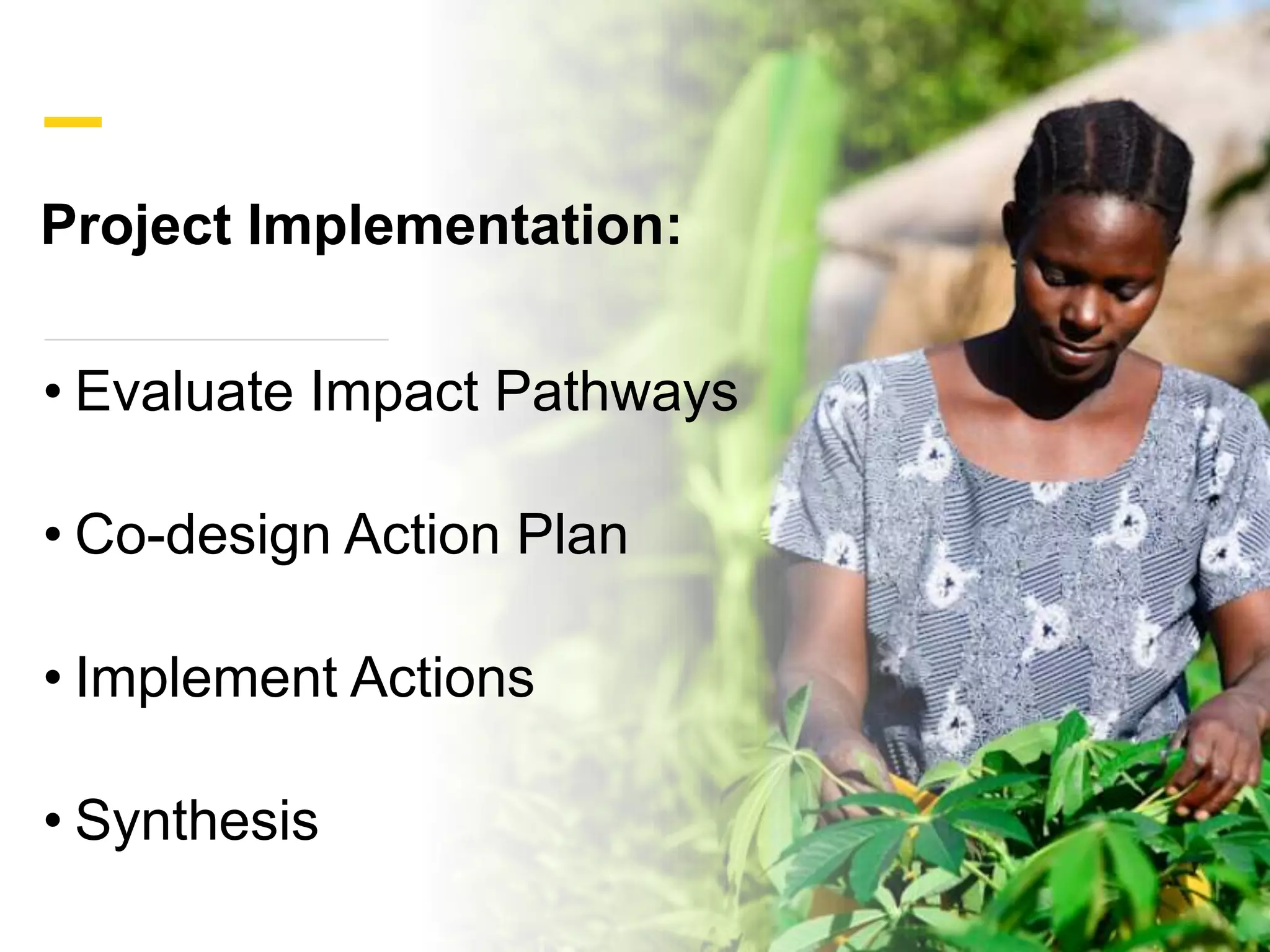 Delivering information for national low-emission development strategies