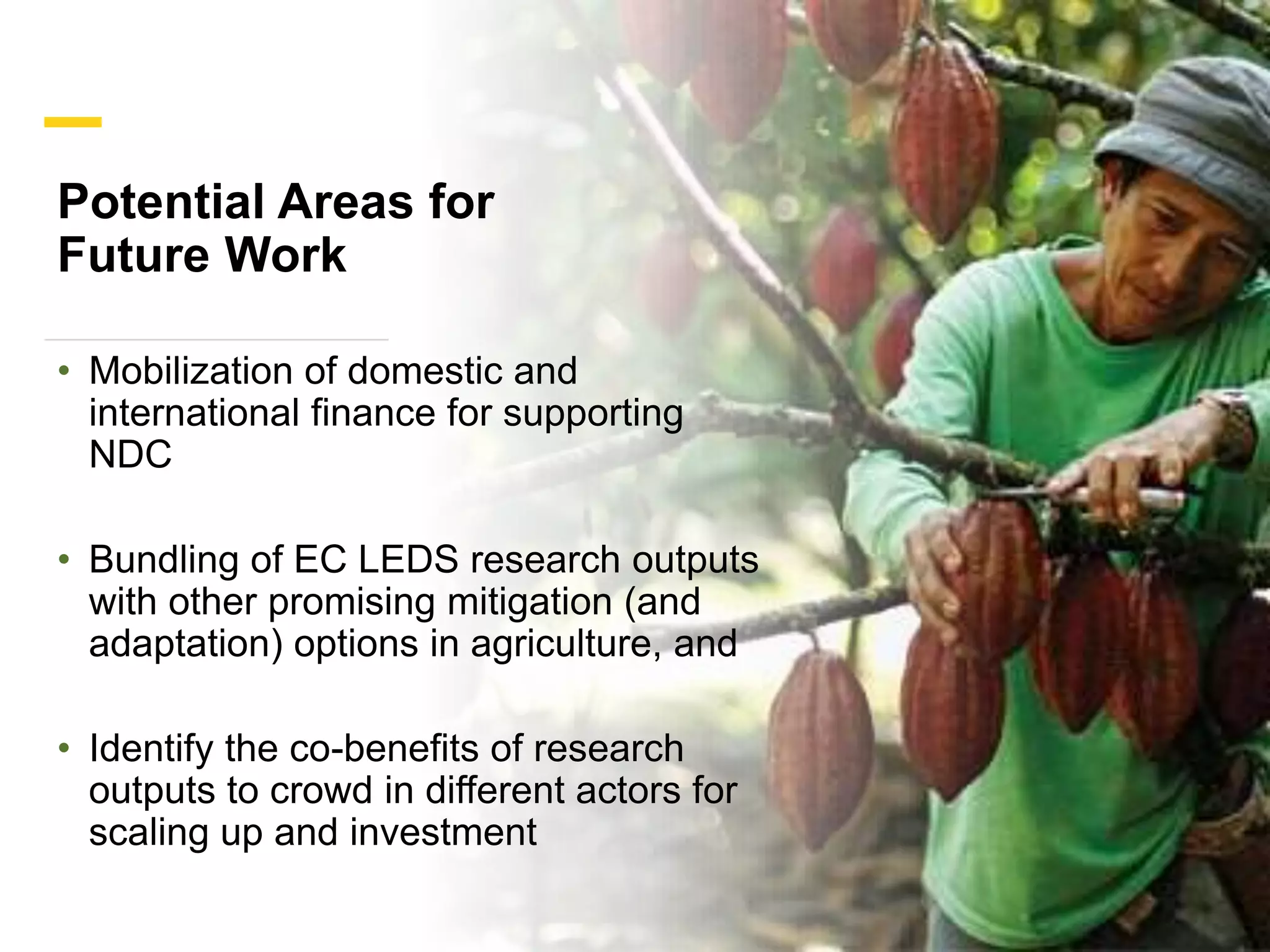 Delivering information for national low-emission development strategies