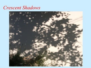 Crescent Shadows

 