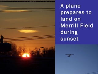 A plane prepares to land on  Merrill Field during sunset 