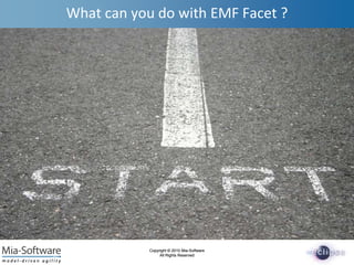 Whatcanyou do with EMF Facet ?