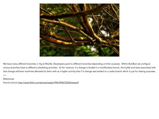 We have many different branches in Hg at Mozilla. Developers push to different branches depending on their purpose. Within Buildbot we configure
various branches have to different scheduling priorities. So for instance, if a change is landed in a mozilla-beta branch, the builds and tests associated with
that change will have machines allocated to them with at a higher priority than if a change was landed on a cedar branch which is just for testing purposes.
—-
References
branch picture http://www.flickr.com/photos/weijie1996/4936732364/sizes/l/
 