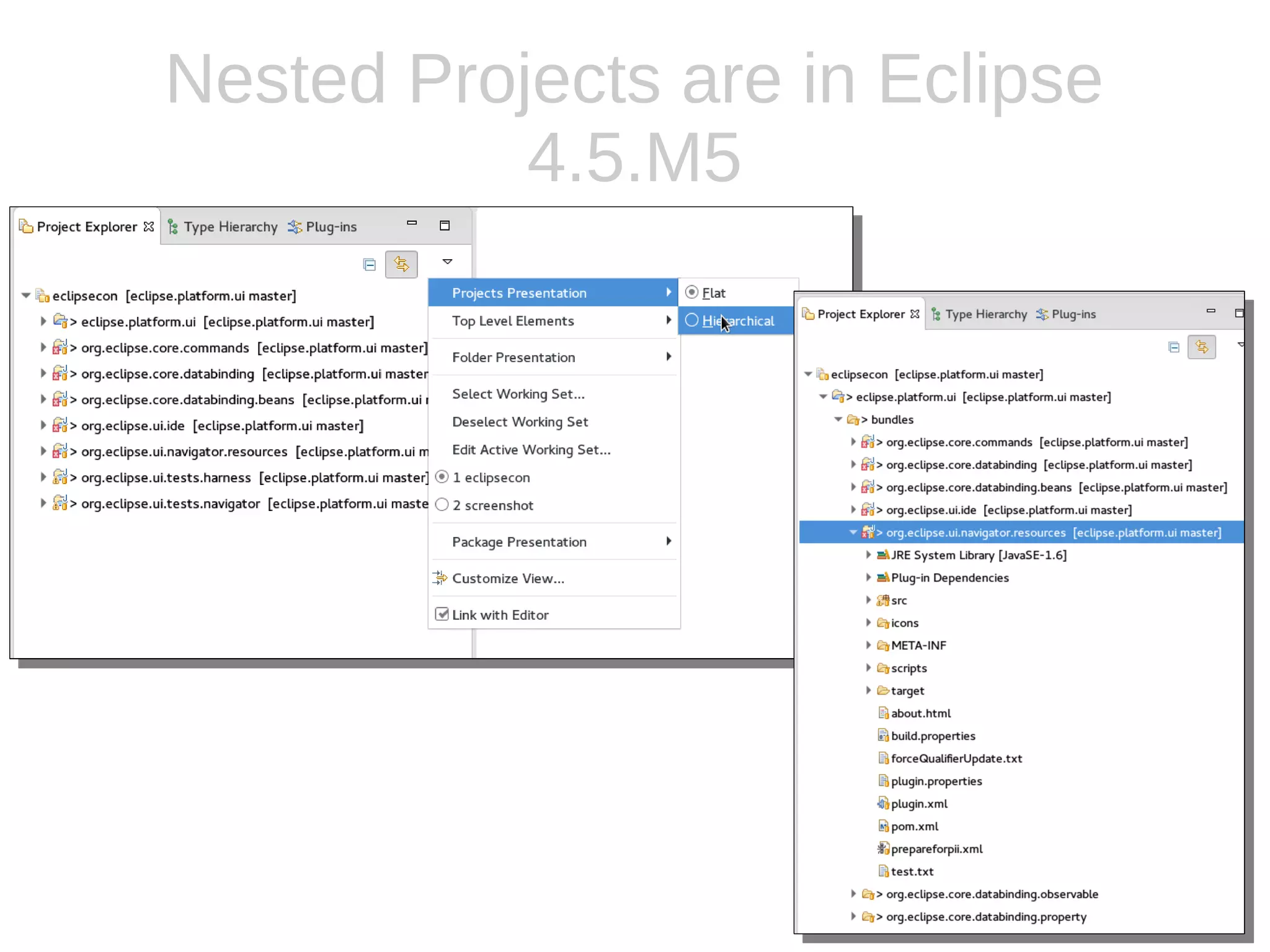 Nested Projects are in Eclipse
4.5.M5
 