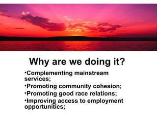 Why are we doing it?   Complementing mainstream services;  Promoting community cohesion;  Promoting good race relations; Improving access to employment opportunities; 
