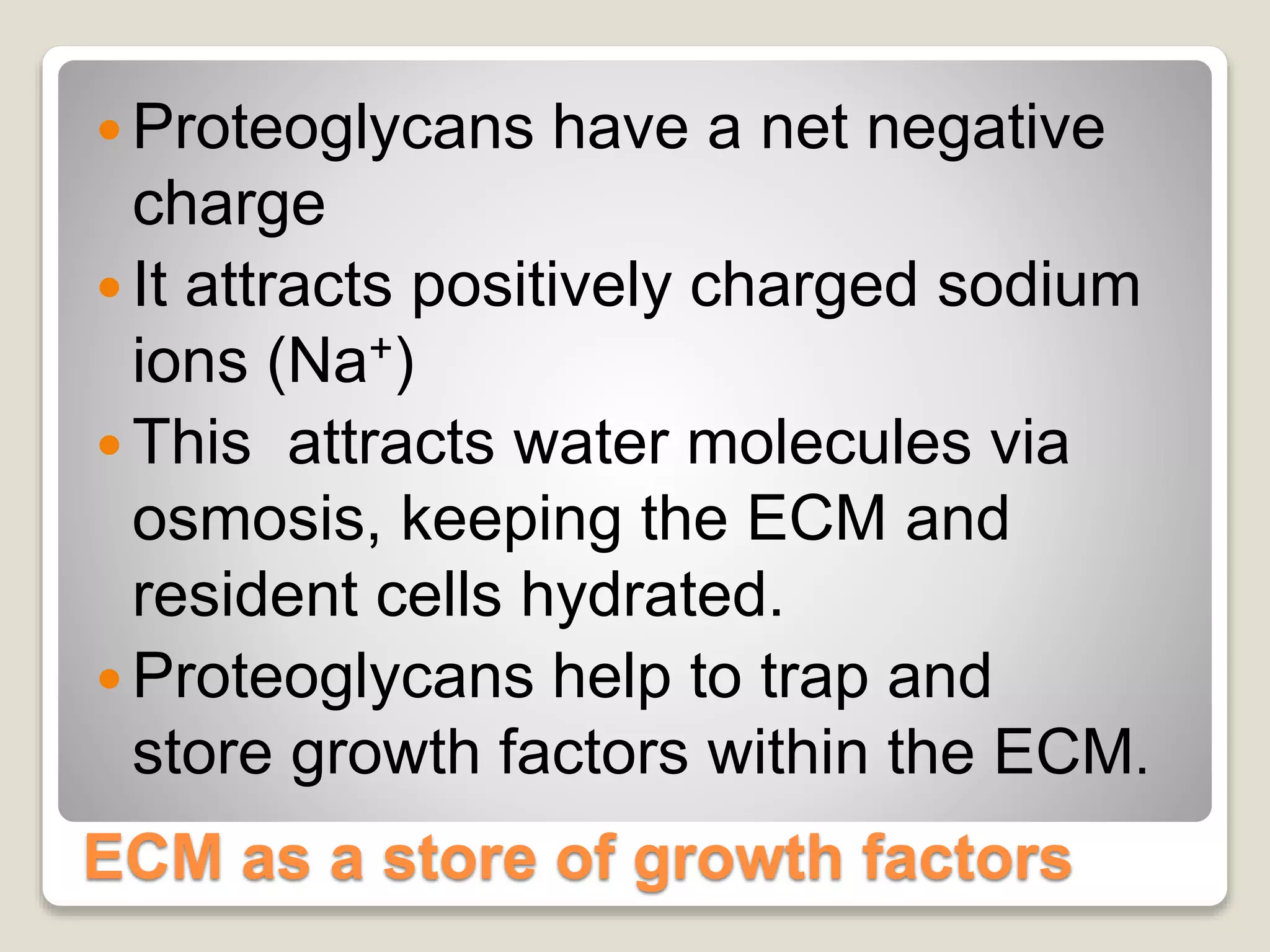 ECM as a store of growth factors
 Proteoglycans have a net negative
charge
 It attracts positively charged sodium
ions (Na+)
 This attracts water molecules via
osmosis, keeping the ECM and
resident cells hydrated.
 Proteoglycans help to trap and
store growth factors within the ECM.
 