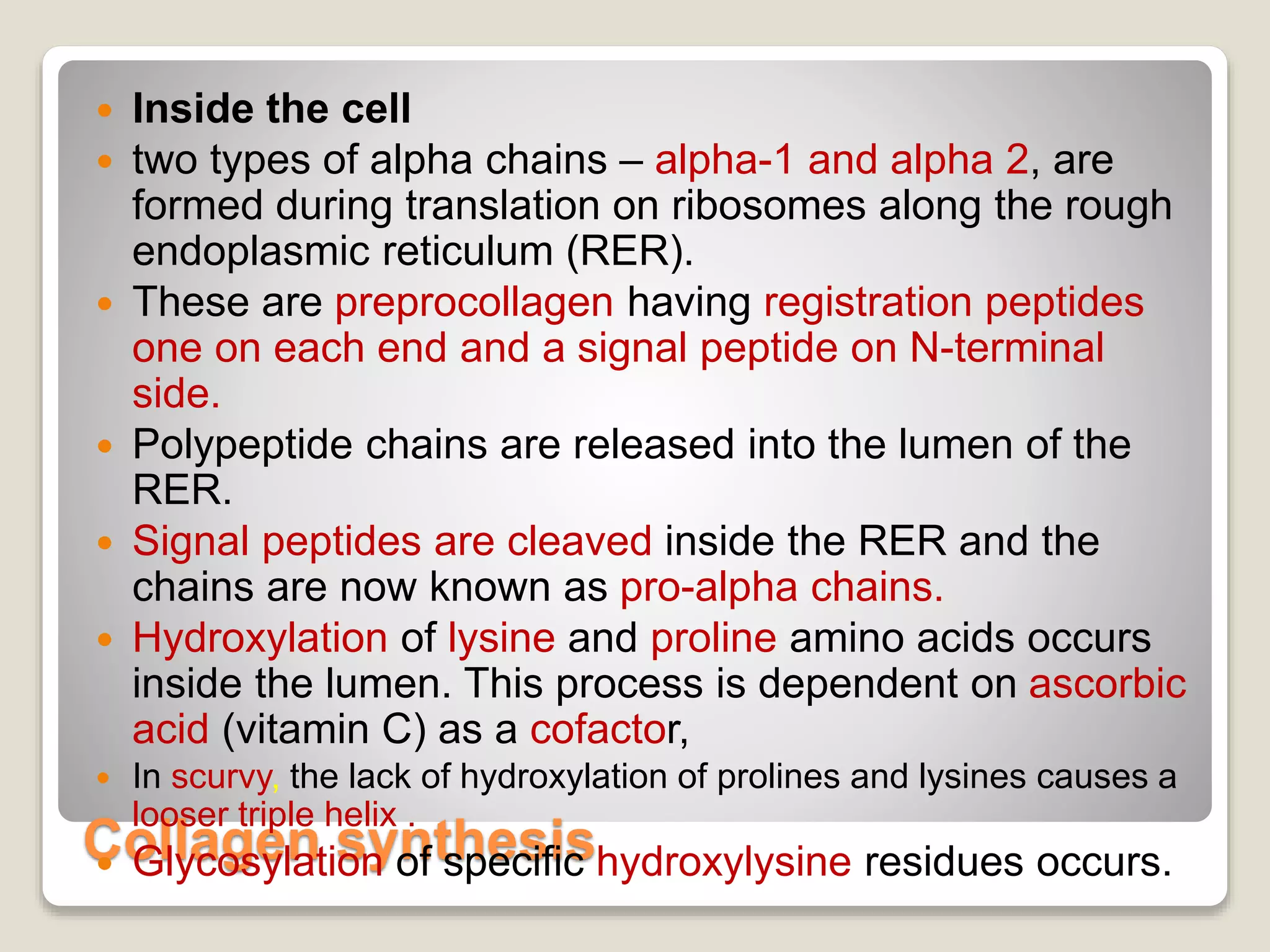Collagen synthesis
 Inside the cell
 two types of alpha chains – alpha-1 and alpha 2, are
formed during translation on ribosomes along the rough
endoplasmic reticulum (RER).
 These are preprocollagen having registration peptides
one on each end and a signal peptide on N-terminal
side.
 Polypeptide chains are released into the lumen of the
RER.
 Signal peptides are cleaved inside the RER and the
chains are now known as pro-alpha chains.
 Hydroxylation of lysine and proline amino acids occurs
inside the lumen. This process is dependent on ascorbic
acid (vitamin C) as a cofactor,
 In scurvy, the lack of hydroxylation of prolines and lysines causes a
looser triple helix .
 Glycosylation of specific hydroxylysine residues occurs.
 