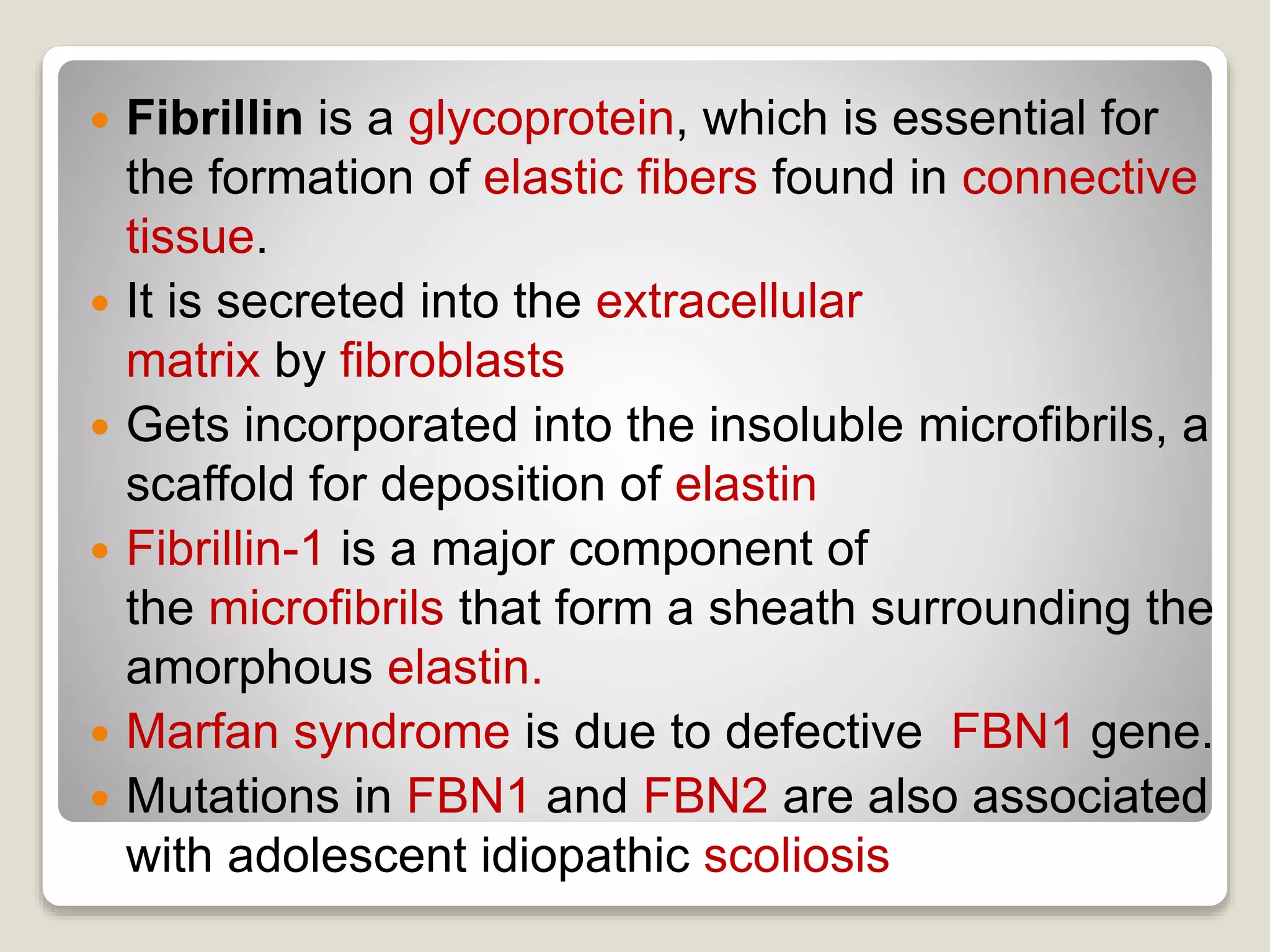  Fibrillin is a glycoprotein, which is essential for
the formation of elastic fibers found in connective
tissue.
 It is secreted into the extracellular
matrix by fibroblasts
 Gets incorporated into the insoluble microfibrils, a
scaffold for deposition of elastin
 Fibrillin-1 is a major component of
the microfibrils that form a sheath surrounding the
amorphous elastin.
 Marfan syndrome is due to defective FBN1 gene.
 Mutations in FBN1 and FBN2 are also associated
with adolescent idiopathic scoliosis
 