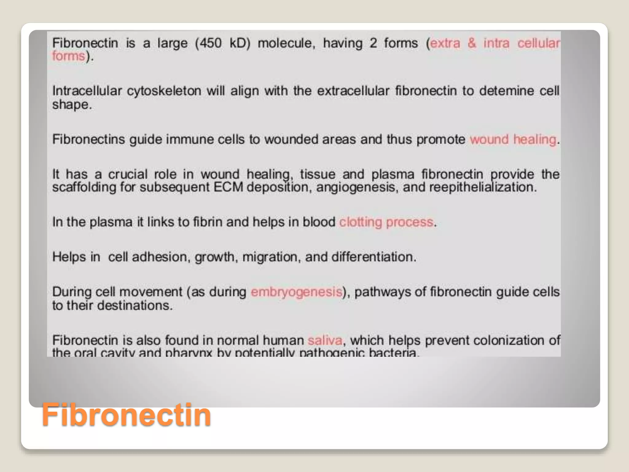 Fibronectin
 