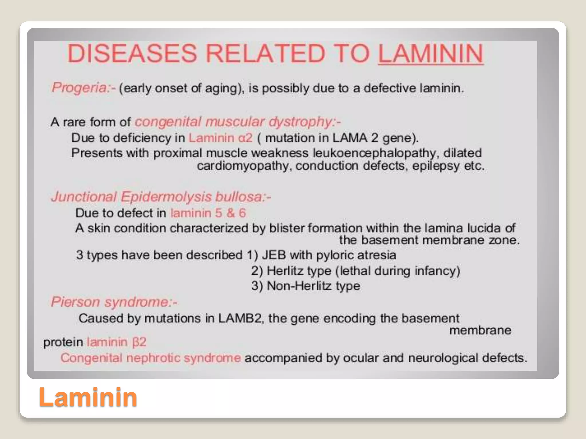 Laminin
 