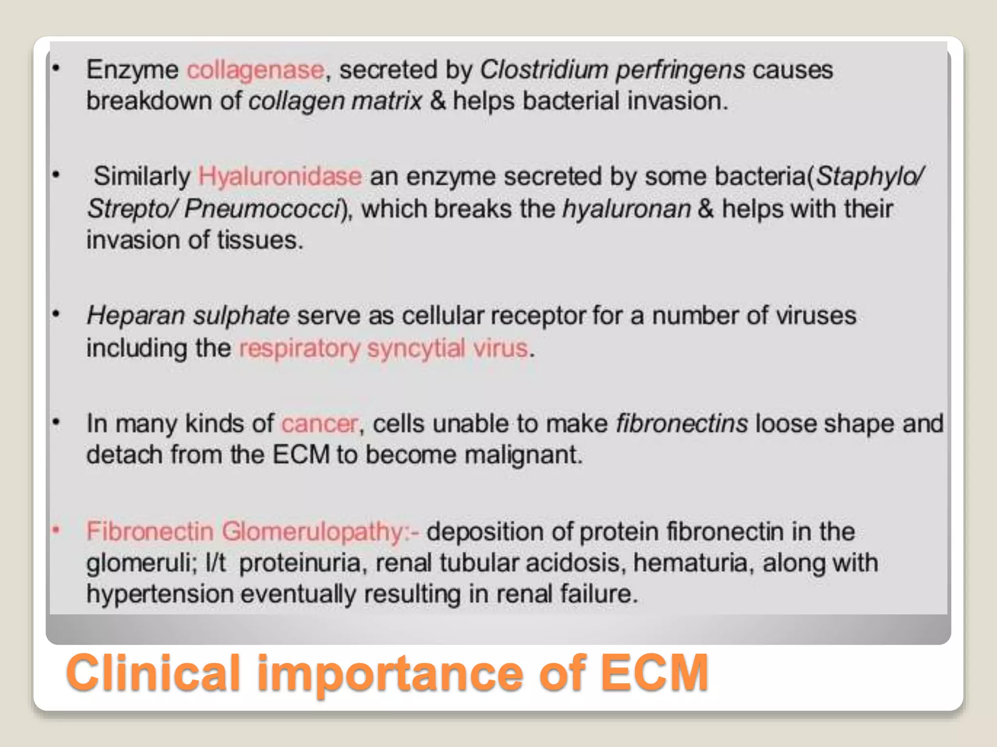 Clinical importance of ECM
 