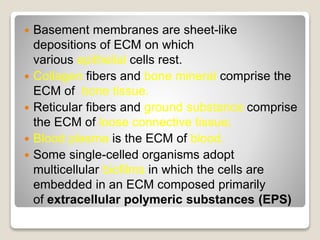 Extra Cellular Matrix (ECM) | PPTX