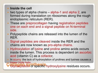 Extra Cellular Matrix (ECM) | PPTX