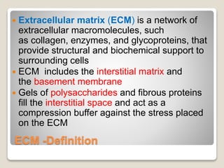 PDF) Tissue-Specific KO of ECM Proteins