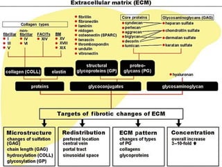 the extracellular matrix (ECM | PDF