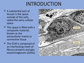 Biochemistry of Extra cellular Matrix - Composition and properties | PPTX