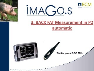 Imago Automated Rqd Ecm imago.s | PPTX