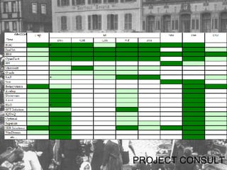 PROJECT CONSULT 