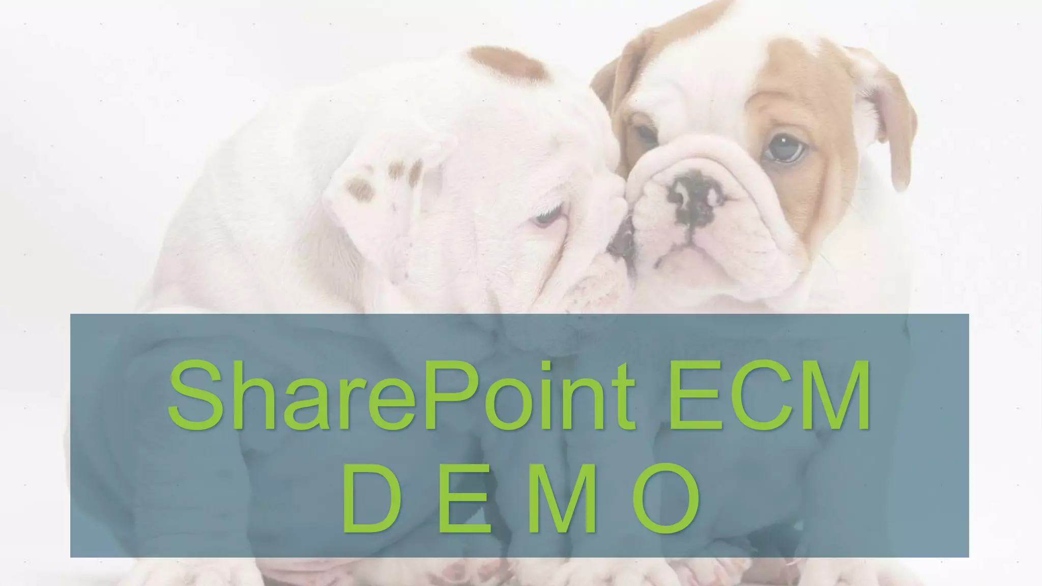 SharePoint ECM
D E M O
 