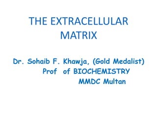 THE EXTRACELLULAR
MATRIX
Dr. Sohaib F. Khawja, (Gold Medalist)
Prof of BIOCHEMISTRY
MMDC Multan
 