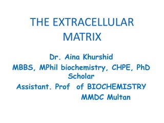 THE EXTRACELLULAR
MATRIX
Dr. Aina Khurshid
MBBS, MPhil biochemistry, CHPE, PhD
Scholar
Assistant. Prof of BIOCHEMISTRY
MMDC Multan
 