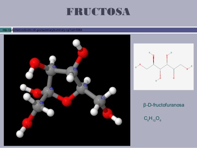 Necesitas un menú dieta cetogénica ?