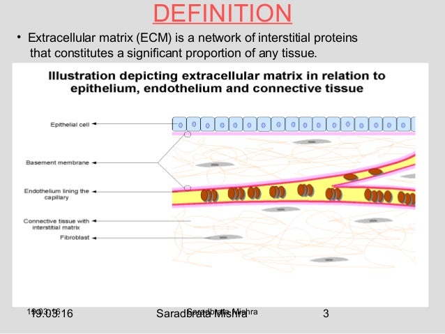 extracellular matrix 3 638