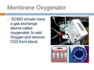 Membrane Oxygenator
 ECMO circuits have
a gas exchange
device called
oxygenator, to add
Oxygen and remove
CO2 from blood.
 